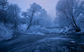 Winter Morning, Frost, Winter, Waterfall, Trees HD wallpaper