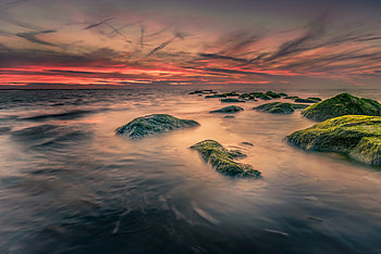 Nature, Stones, Sea, Moss HD wallpaper