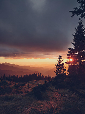 Nature, Sunset, Mountains, Sun, Fir, Spruce, Dahl, Distance HD phone wallpaper