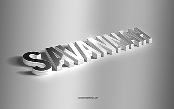 Savannah, silver 3d art, gray background, with names, Savannah name, Savannah greeting card, 3d art, with Savannah name HD wallpaper