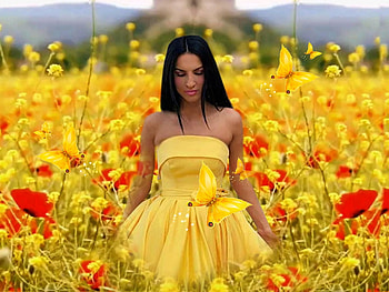 Sunny Yellow 6, bold, colorful, blue, white, black, vibrant, girl, vivid, green, bright, red, yellow HD wallpaper