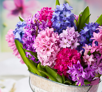With Love, nature, flowers, pretty, lilac HD wallpaper