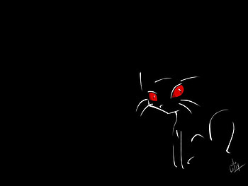 Cats HD wallpaper