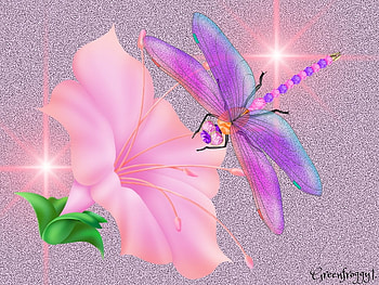 FLOWER AND DRAGONFLY, DRAGONFLY, ART, CREATION, BIRD HD wallpaper