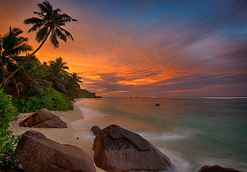 Seychelles beauty, Sunset scenery, Palm trees, que landscapes HD wallpaper