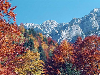 Romania - Bucegi Mountains , romania, bucegi mountains HD wallpaper