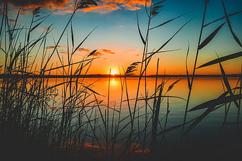 Tranquil sunset view over a serene lake with reeds silhouetted against the colorful sky. HD wallpaper