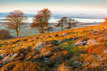 Nature, Grass, Mountains, Autumn, Hills HD wallpaper