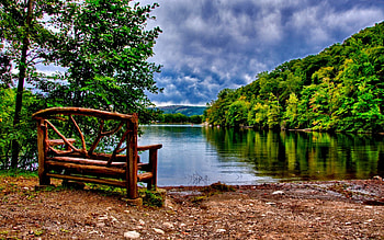 AMAZING VIEW, view, bench, forest, lake HD wallpaper