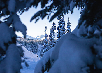 Landscape, Winter, Nature, Trees, Snow, Fir-Trees HD wallpaper