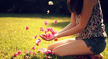 Flying Petals, roses, lovely, nice, petals HD wallpaper