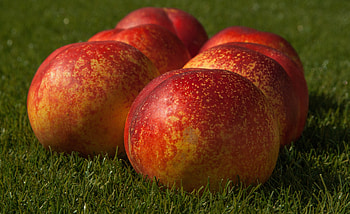 Fruits, Food, Peaches, Ripe HD wallpaper