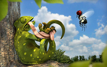 tongue tied up, karate, chameleon, fly, tongue HD wallpaper