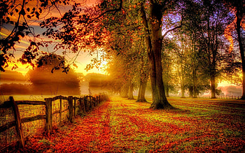Fall Nature Screensavers - 1638178 HD wallpaper