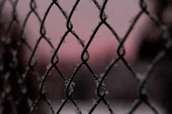Macro, Grid, Frost, Hoarfrost HD wallpaper