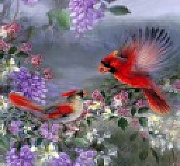 Springtime, artwork, wisteria, birds, painting, blossoms HD wallpaper