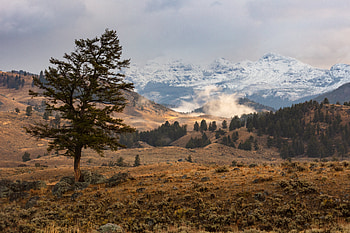 Nature, Mountains, Wood, Tree, Relief, Hills HD wallpaper