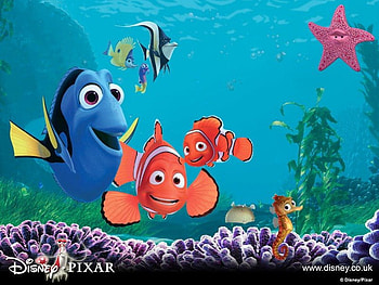 finding nemo, starfish, , fish, ocean HD wallpaper