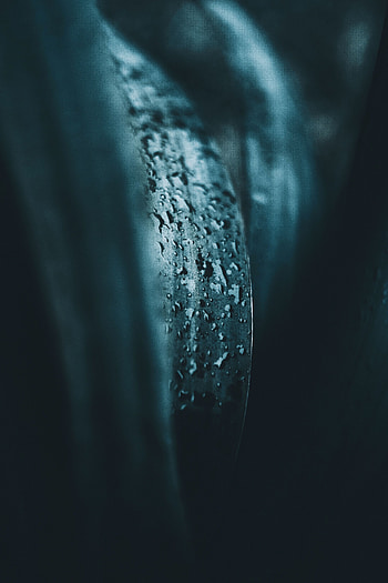 Drops, Macro, Blur, Smooth, Liquid, Sheet, Leaf, Moisture HD phone wallpaper