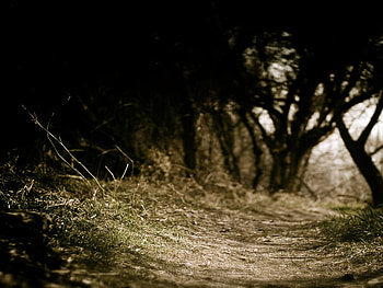 Way , way, cool, nature, graphy HD wallpaper