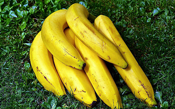Banana magic, Tropical paradise, Yellow paradise, Nature's gift HD wallpaper