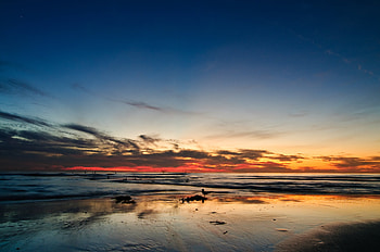 Nature, Sunset, Sand, Horizon, Silhouettes, Ocean, California HD wallpaper