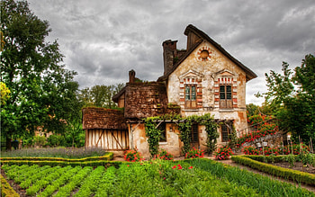 Country Home, architecture, windows, house, roof, crops, brown, door, clouds, trees, nature, flowers, sky, home HD wallpaper