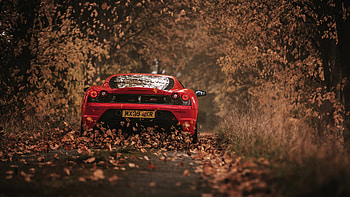 Scuderia Ferrari, ferrari, cars HD wallpaper