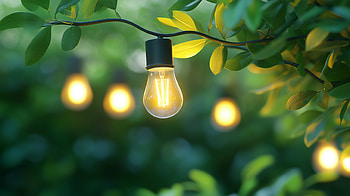 Eco-Friendly Light Bulb: Nature's Green, light bulb, nature, green HD wallpaper