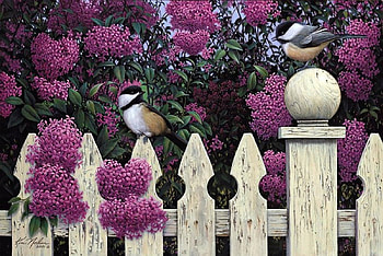 BIRDS ON THE FENCE, bird, spring, lilac, fence HD wallpaper
