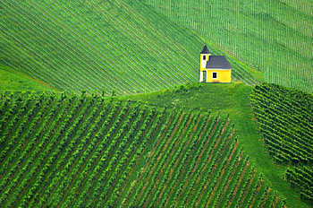 Beautiful Fields, fields, cool, beautiful HD wallpaper