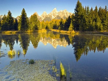 Tranquil lake bottom, summer, quiet, lakes, peaceful, afternoon, bottom, tranquil HD wallpaper