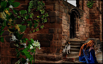 WHAT DID YOU EXPECT??, dog, sad, walls, plants, love, poem, bricks, failure HD wallpaper