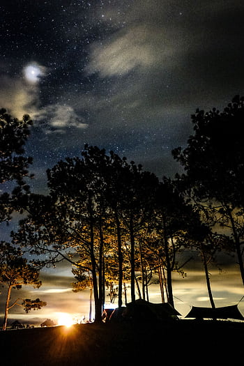 Silhouetted trees and tents under a starry sky in Đắk Ya, Gia Lai, Vietnam. HD phone wallpaper