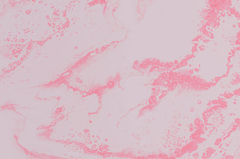 Abstract, Pink, Divorces, Paint, Liquid, Stains, Spots, Fluid Art HD wallpaper