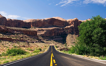 Nature, Trees, Road, Markup, Asphalt, Lines, Canyons HD wallpaper