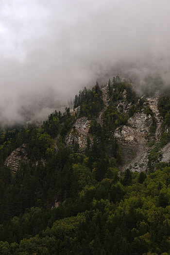 Nature, Trees, Mountains, Clouds, Rocks, Forest, Fog HD phone wallpaper