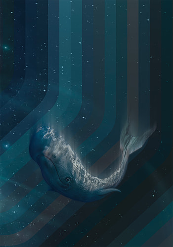 Art, Lines, Illusion, Depth, Sperm Whale, Cachalot HD phone wallpaper