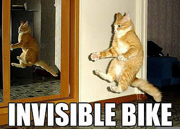 BIKER KITTY FOR JERRY, cute, no bike, funny, kitty HD wallpaper