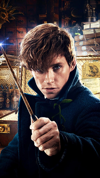 Fantastic Beasts, Movie series, Serialtwinz, Movies HD phone wallpaper