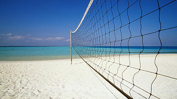 Cute volleyball, Adorable illustrations, Playful graphics, Volleyball-themed art HD wallpaper