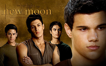 The Wolves, pic, nice HD wallpaper