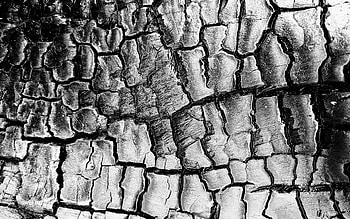 burnt wooden texture, , macro, burnt tree, coals textures, wooden textures, black backgrounds HD wallpaper
