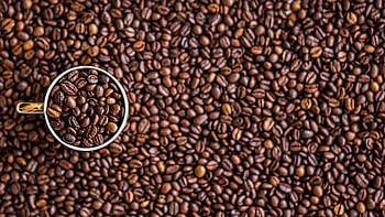 Cup, Coffee Beans HD wallpaper