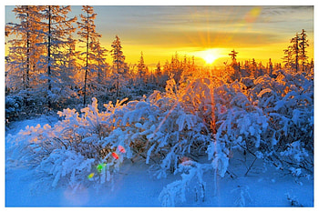 'Glow Sunrise in Winter', winter, glow, silent, winter holidays, sunrise, shining, scenery, snow, trees, splendid, frozen, attractions in dreams, forests, beautiful, seasons, creative pre-made, love four seasons, christmas, nature, xmas and new year HD wallpaper