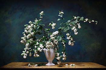 Flowers, Leaves, Branches, Bouquet, Table, Vase HD wallpaper