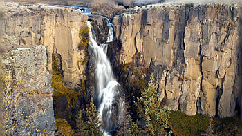 cows drinking atop a wonderful waterfall, river, cows, trees, waterfall, cliff HD wallpaper