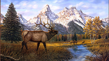 prince of the tetons, tetons, deers, mountains, animals HD wallpaper