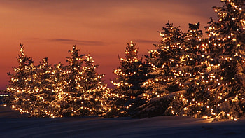 Background Cute Laptop Aesthetic Christmas, Cute Winter HD wallpaper