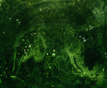 Abstract, Water, Bubbles, Liquid HD wallpaper